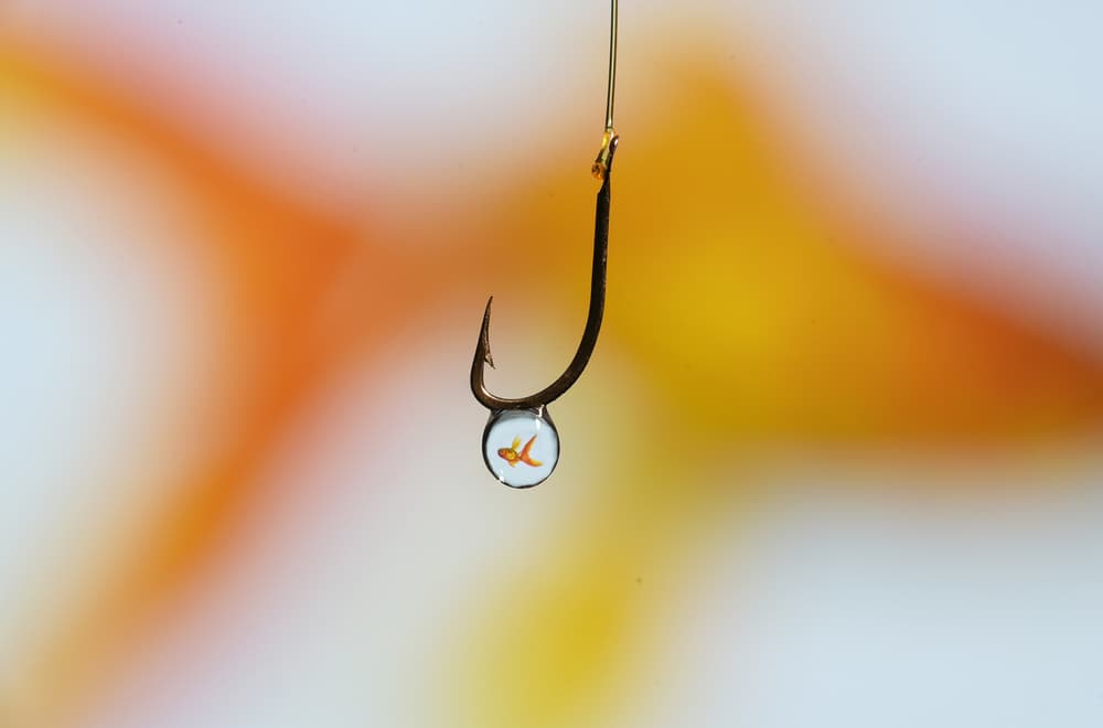 Goldfish on a Hook by Cesare Sent — canvas wall art