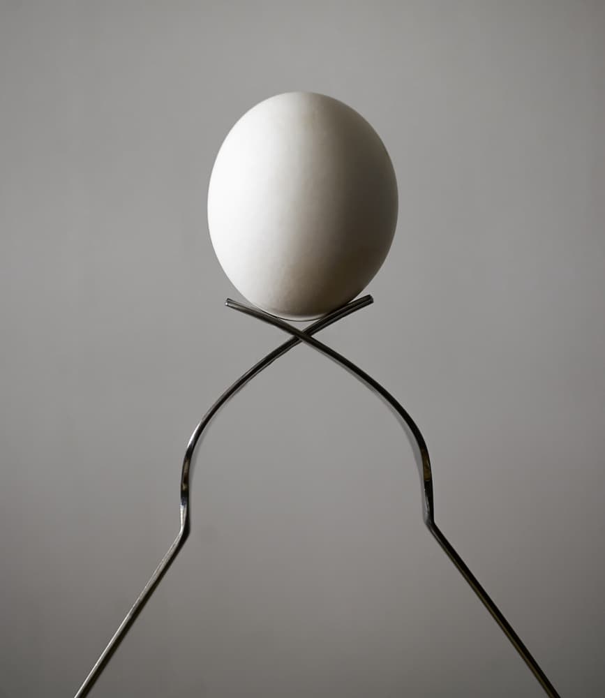 Delicate Egg Balance by zyfeller — canvas wall art