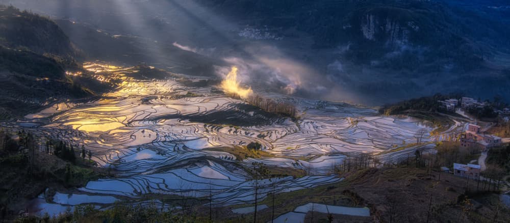 Golden Rice Terraces by Johnny Zhang — canvas wall art