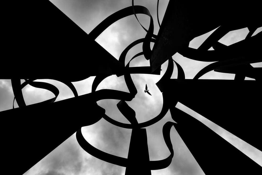 Soaring Bird Abstract by Florentinus Joseph — canvas wall art