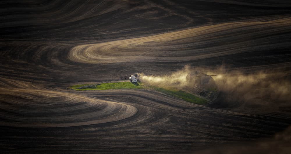 Golden Hour Farming by David Guo — canvas wall art