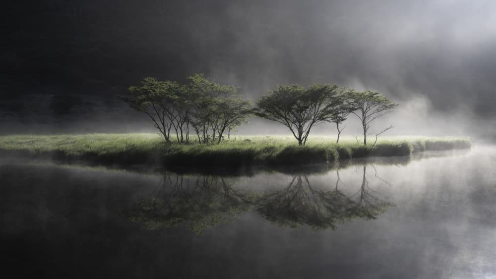Misty Morning Reflection by Akira Nagase — canvas wall art
