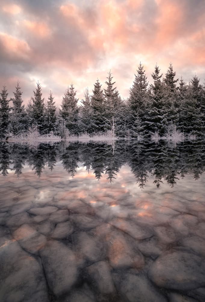 Winter Forest Reflection by Christian Lindsten — canvas wall art