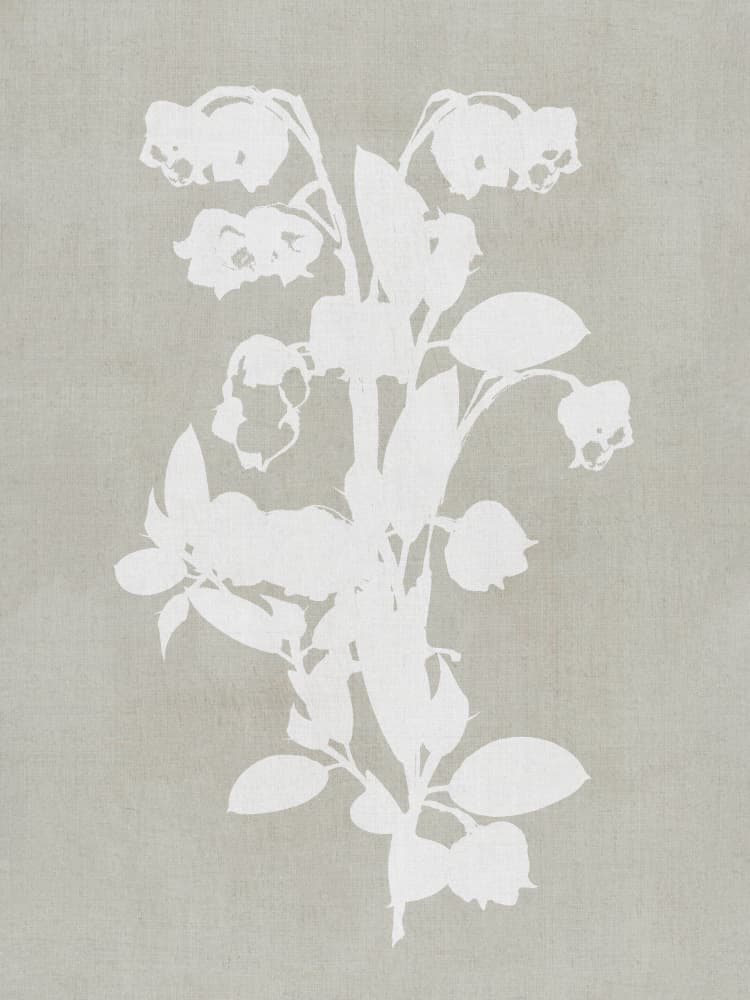 White Botanical Blooms by cartissi — canvas wall art