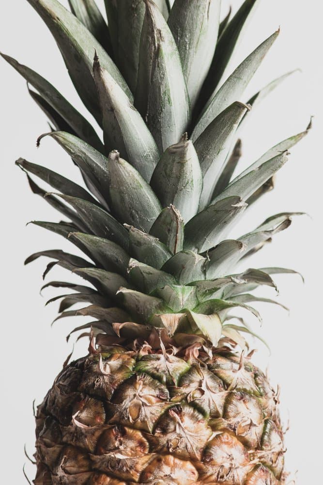 Tropical Pineapple Crown by Pictufy Studio III — canvas wall art