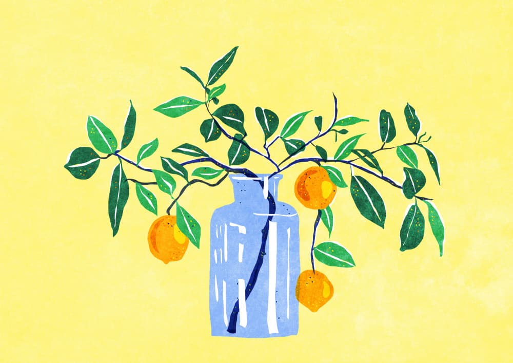 Orangetree by Raissa Oltmanns — canvas wall art