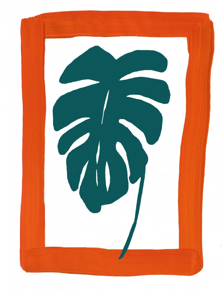 Orange Framed Monstera by Bronwyn Baker — canvas wall art