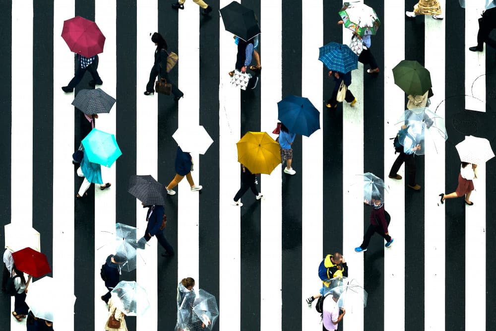 Colorful Umbrellas Crosswalk by Makoto Nishikura — canvas wall art