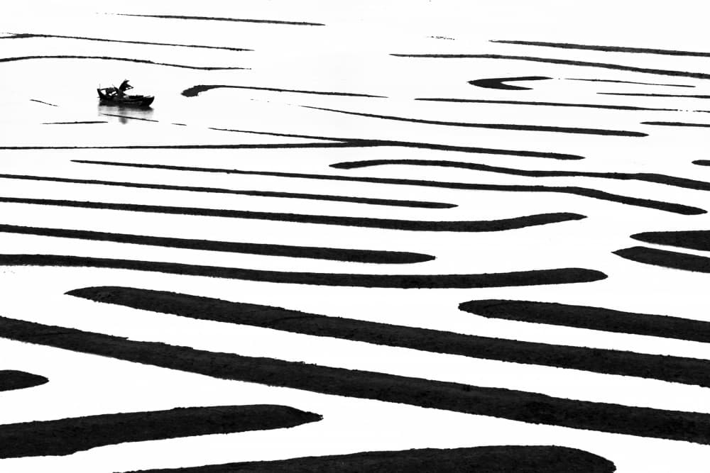 Sea Maze by Jie Jin — canvas wall art