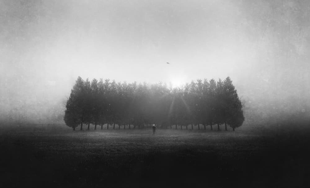 Solitary Figure Morning Mist by Adam Dauria ☂ — canvas wall art