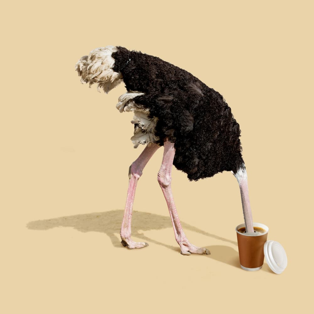 Morning Coffee Ostrich by Artem Pozdniakov — canvas wall art