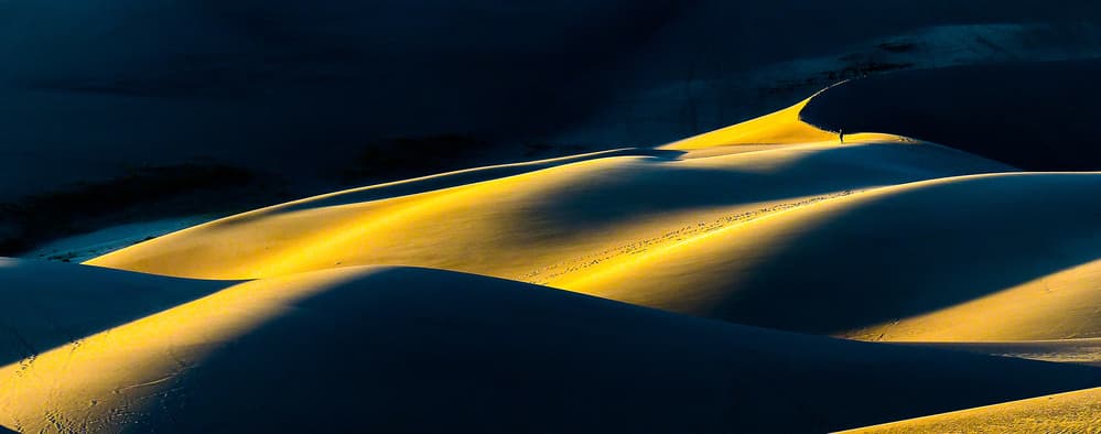 Golden Desert Dunes by Rui Wang — canvas wall art