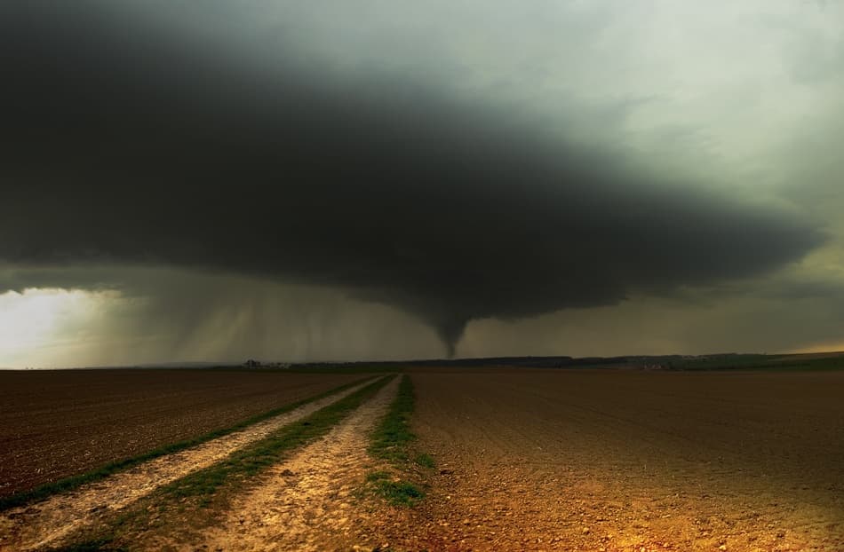 Tornado Over Field by Nicolas Schumacher — canvas wall art