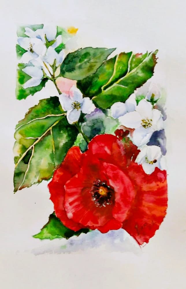 Red Poppy White Blooms by Anda Bieza — canvas wall art