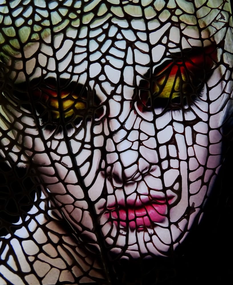 Mysterious Webbed Face by Ivan Lesica — canvas wall art