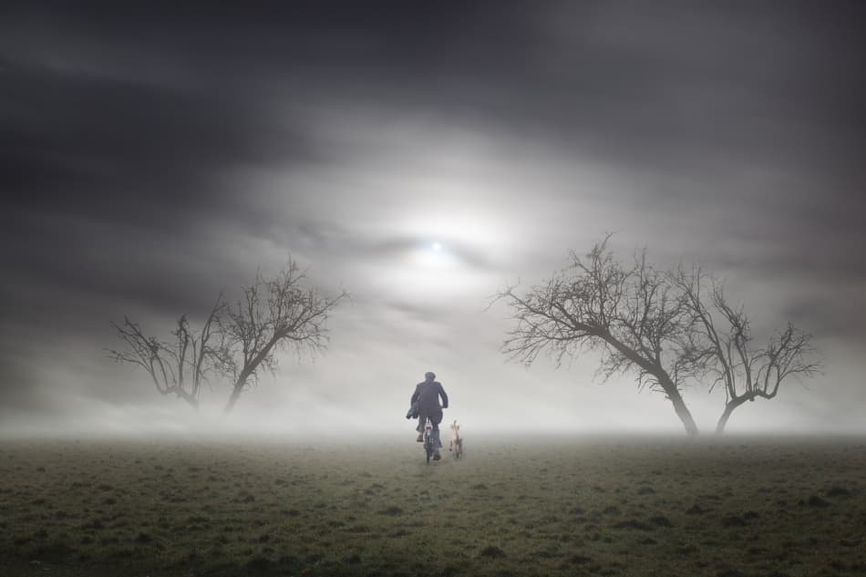 Misty Ride with Dog by Martin Marcisovsky — canvas wall art