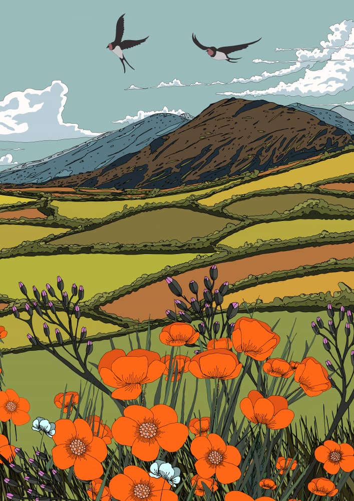 Swallows Over Poppy Fields by Nicholas — canvas wall art