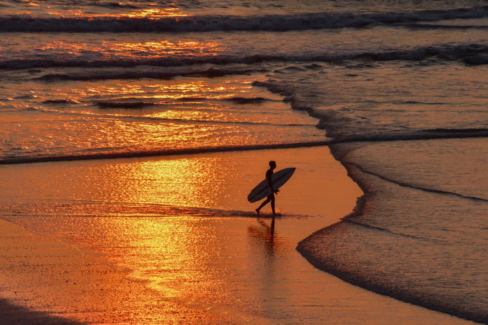 Surfer's Golden Walk by Guy Wilson — canvas wall art
