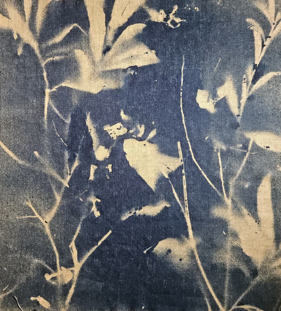 Blue Botanical Shadows by Stefano Mazzolini — canvas wall art