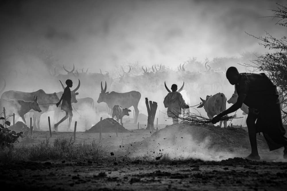 African Cattle Herders by Svetlin Yosifov — canvas wall art