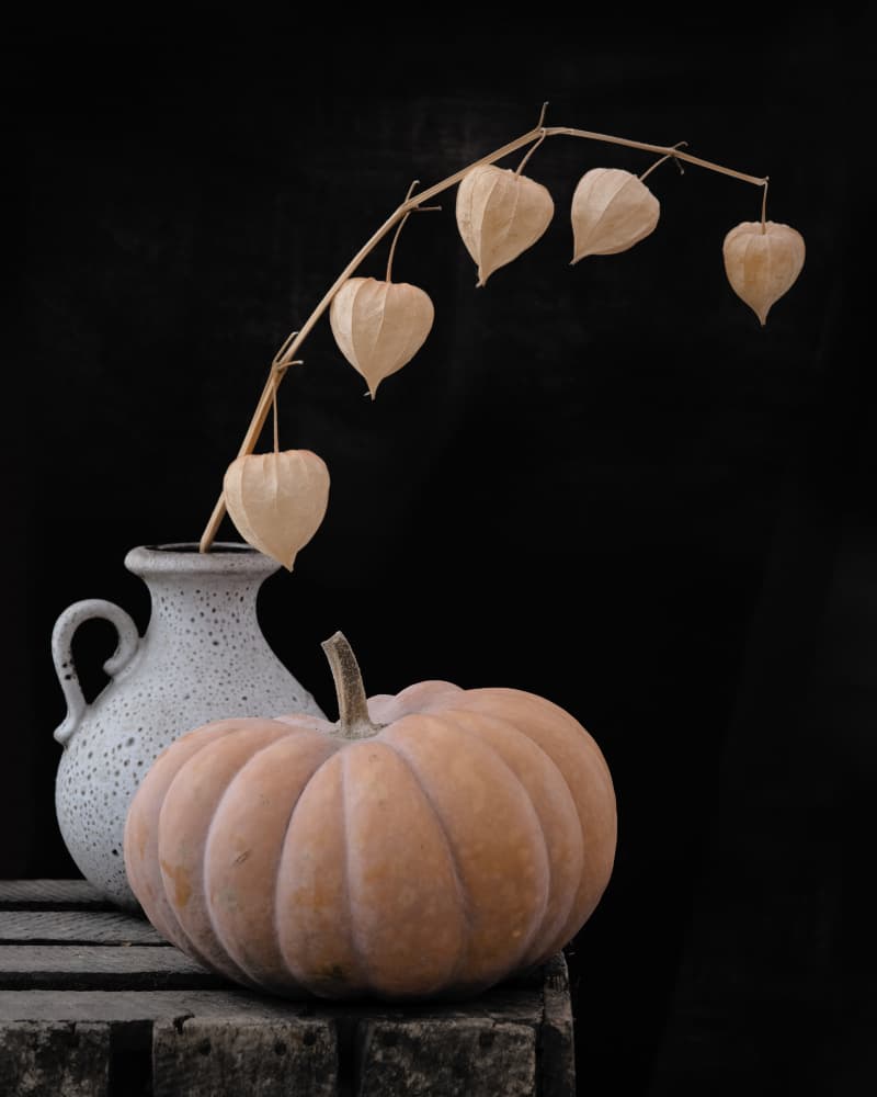Autumn Pumpkin Still Life by FranzStaab — canvas wall art