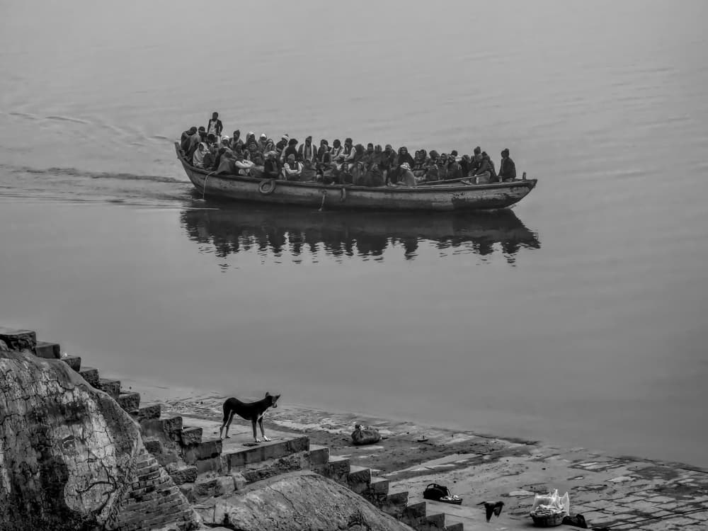 River Boat and Dog by Roxana Labagnara — canvas wall art