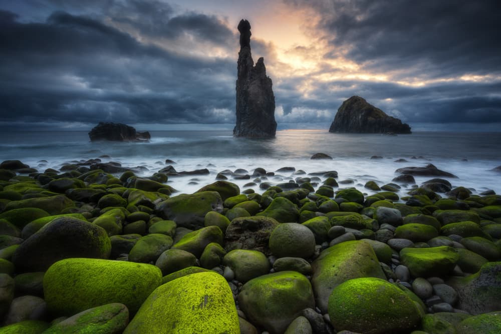 Mossy Sea Stacks at Dusk by Adam Pachula — canvas wall art