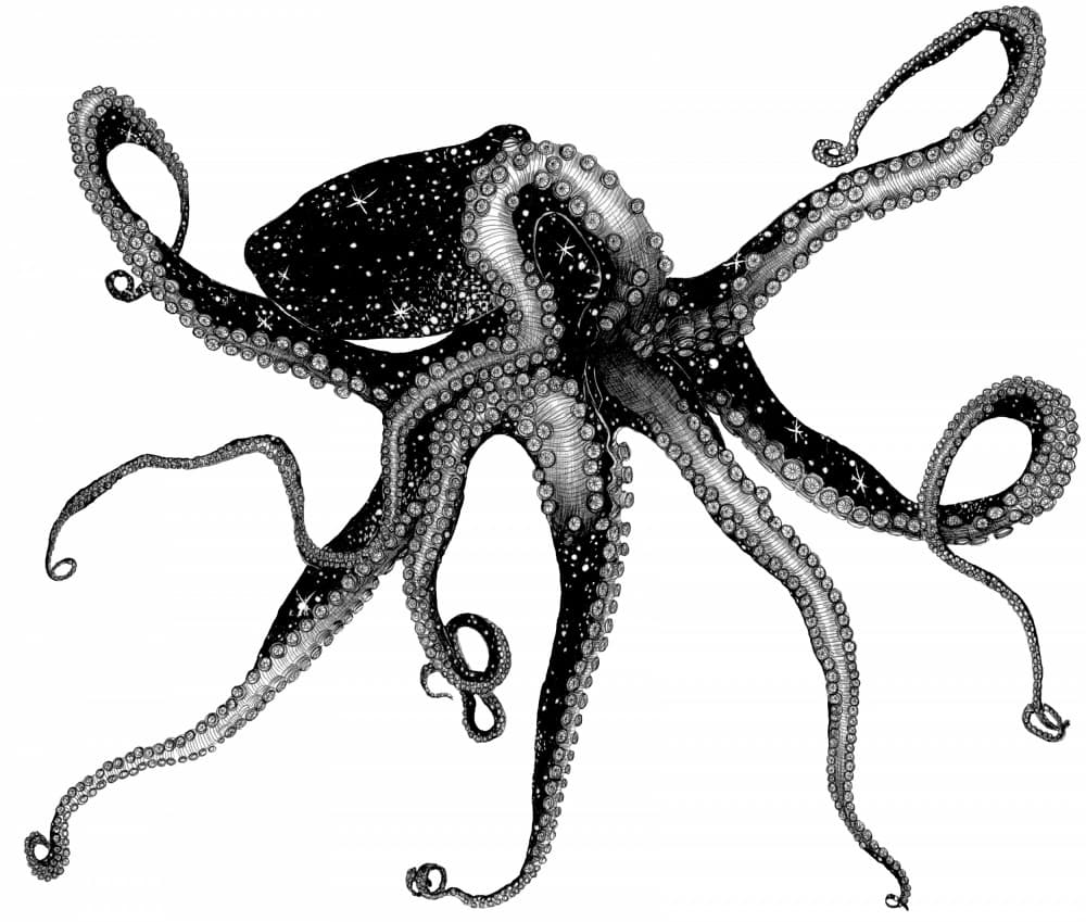 Starry Octopus by EC Mazur — canvas wall art