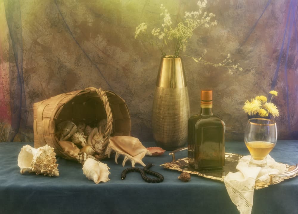 Vintage Seashell Still Life by UstinaGreen — canvas wall art