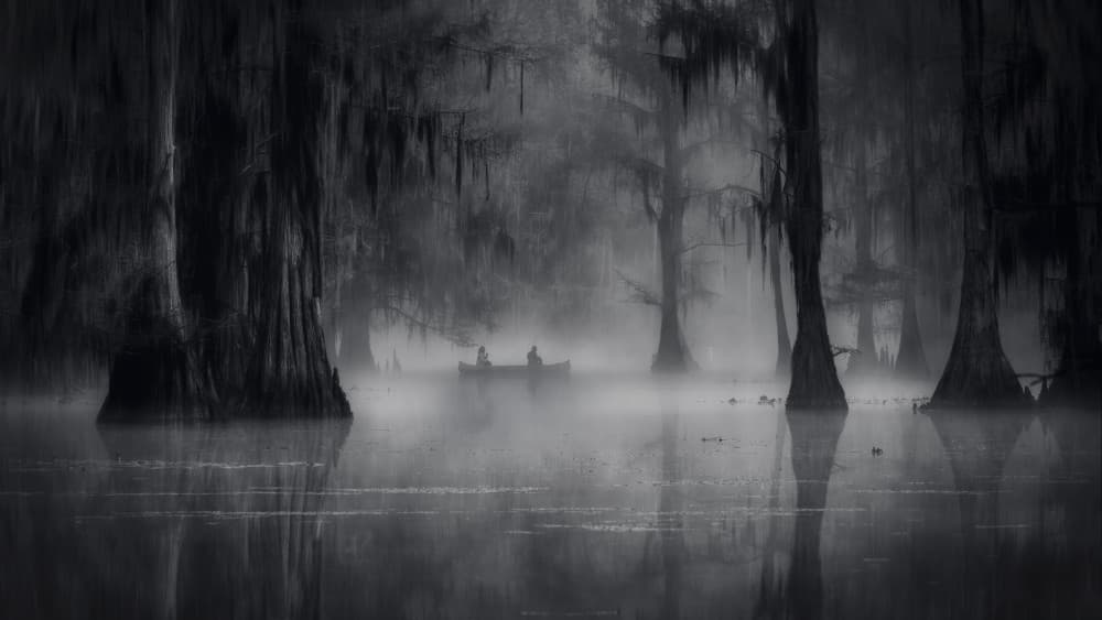 Misty Cypress Bayou by Michael Zheng — canvas wall art