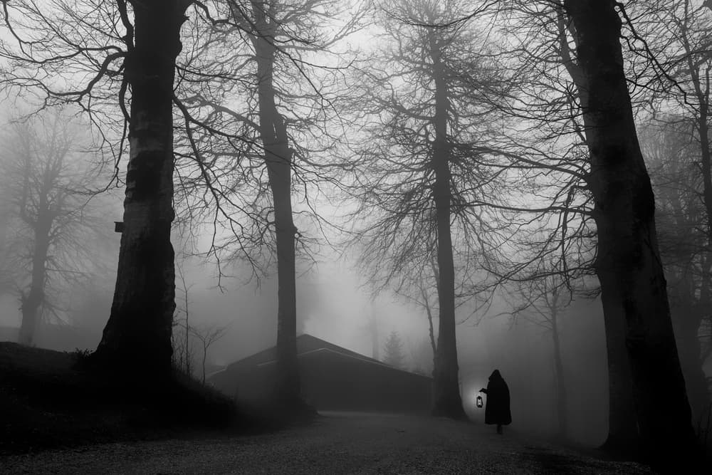 Lantern in the Mist by Ummu Nisan Kandilcioglu — canvas wall art