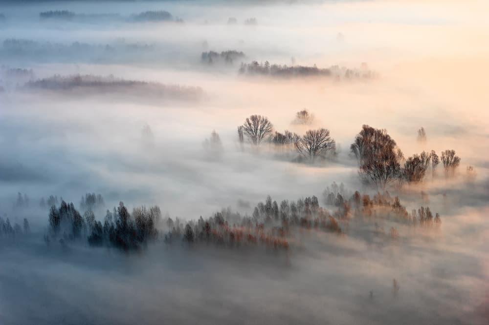 Sunrise Foggy Forest by Fiorenzo Rondi — canvas wall art