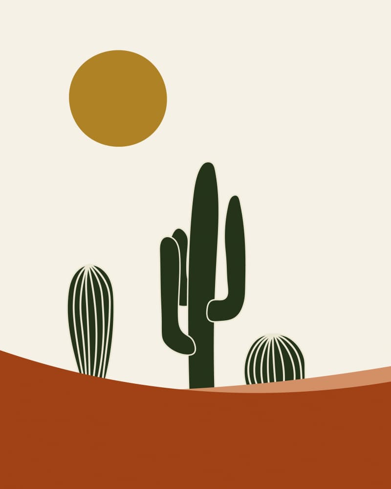 Desert Sun Cacti by Natasha Playell — canvas wall art