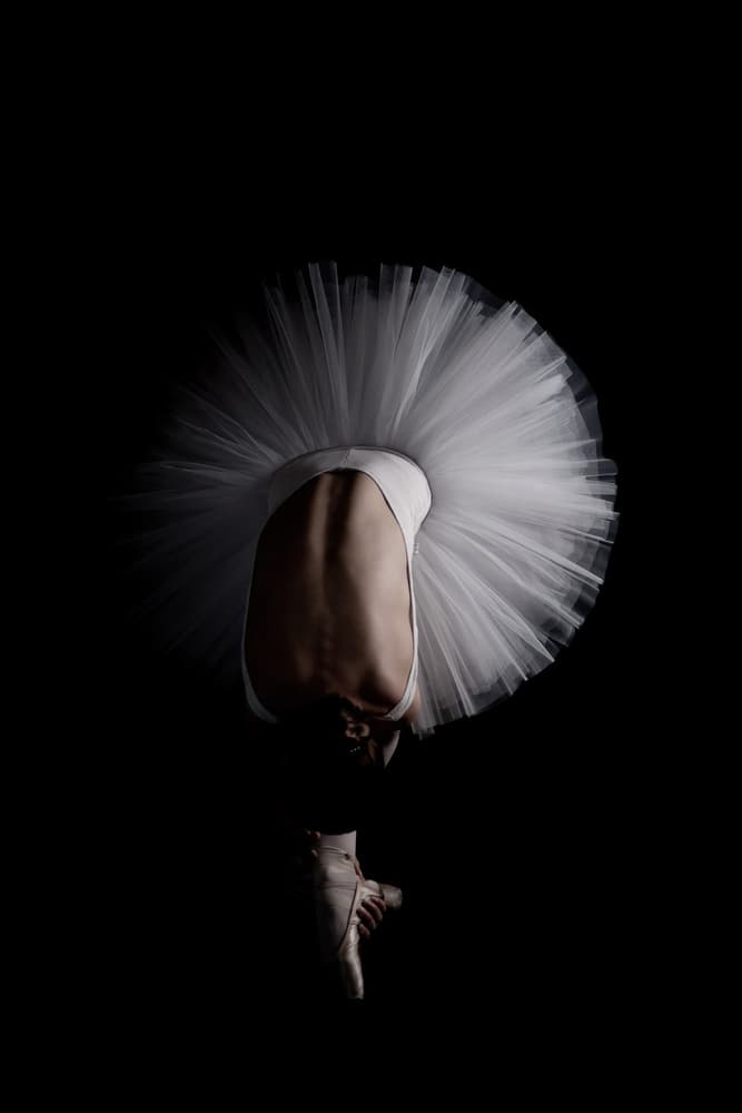 Graceful Ballerina by Eugenio Cini — canvas wall art