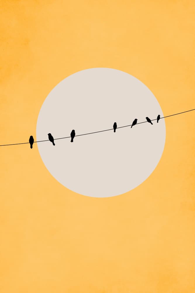Chirping and Chilling by Kubistika — canvas wall art