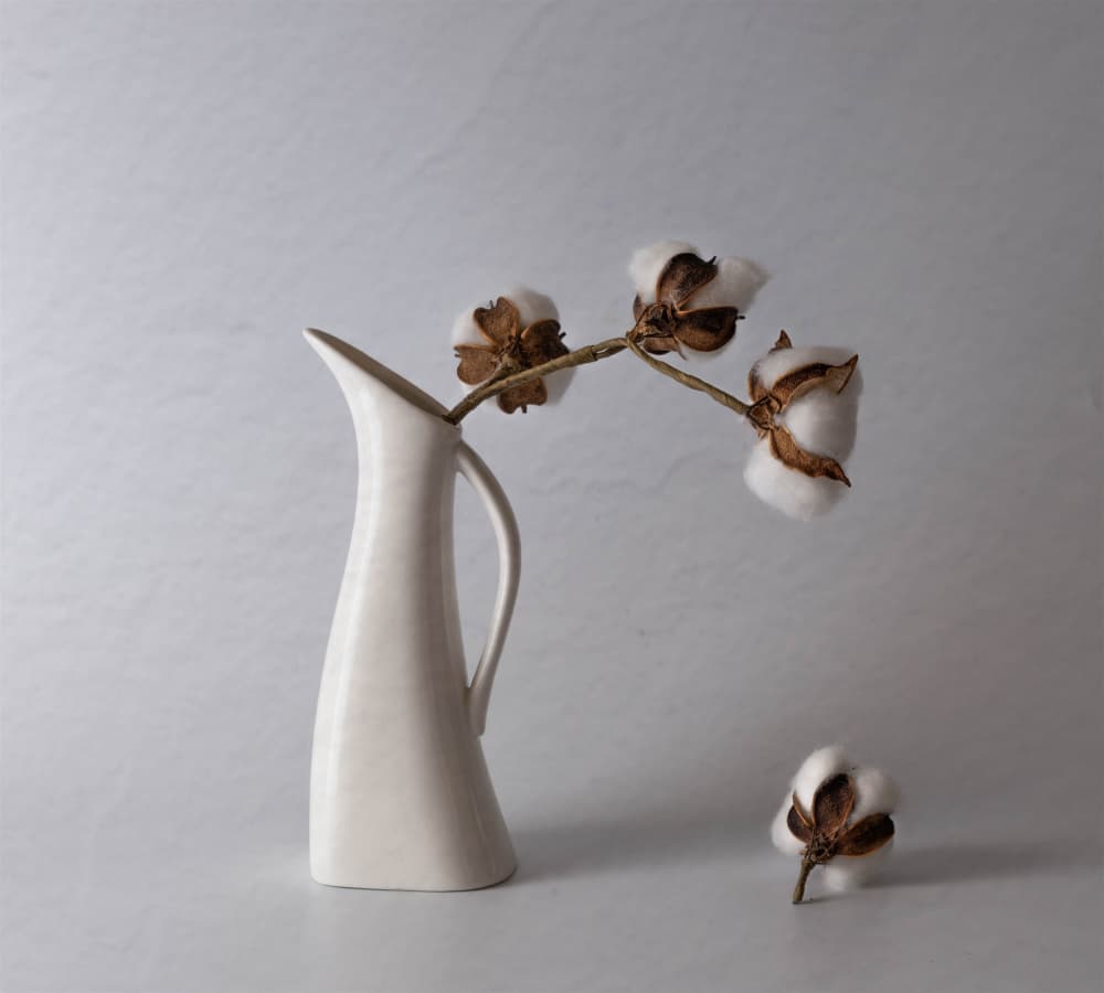 Minimalist Cotton Vase by May G — canvas wall art