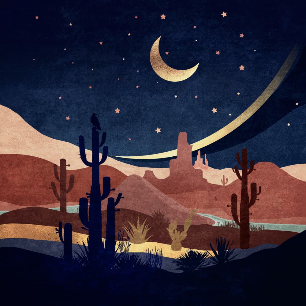 Desert Nightscape by Emel Tunaboylu — canvas wall art