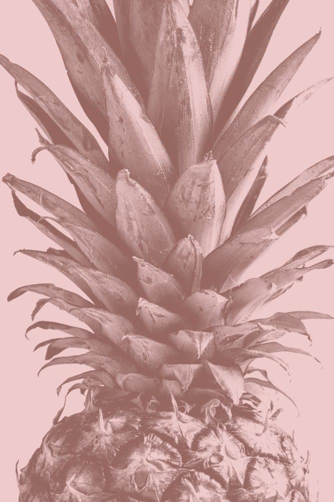 Pink Tropical Pineapple by Pictufy Studio III — canvas wall art
