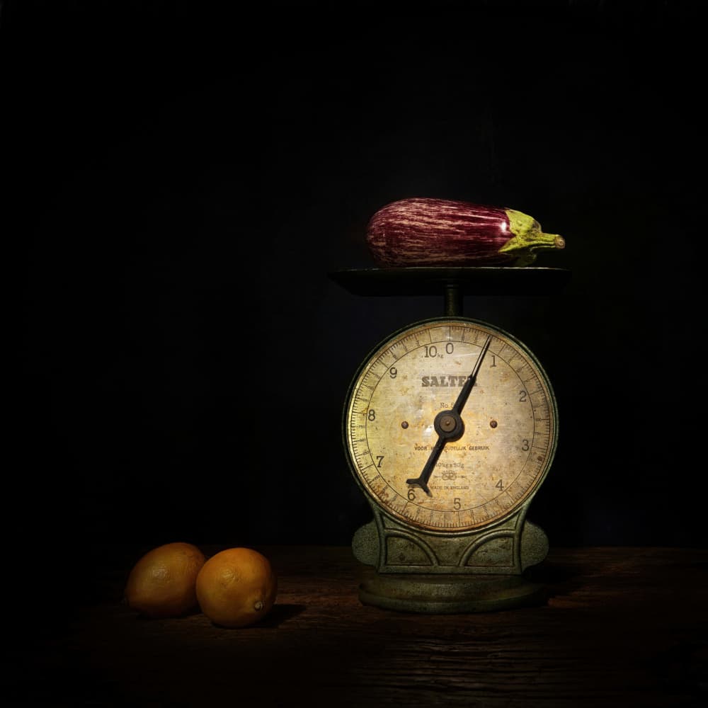 Eggplant and Rustic Scale by Saskia Dingemans — canvas wall art