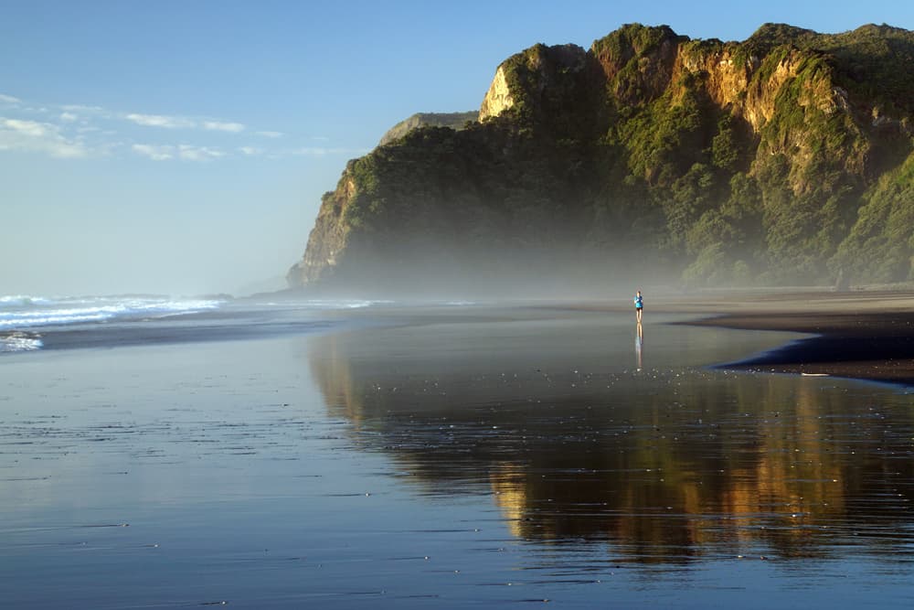 Misty Beach Morning Run by Dragan Keca — canvas wall art