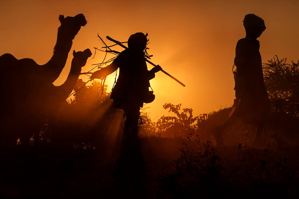 Desert Sunset Journey by Jassi Oberai — canvas wall art