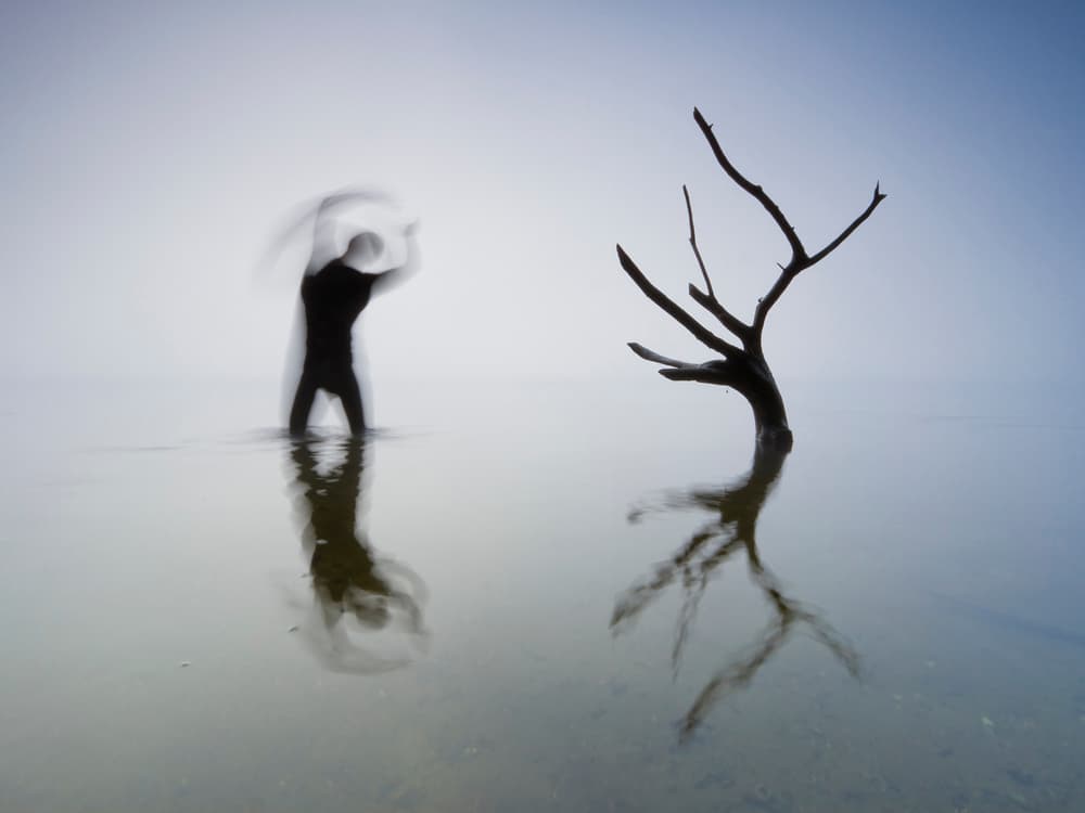 Solitary Figure Bare Tree by Leszek Paradowski — canvas wall art