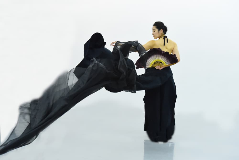 Elegant Fabric Dance by Anna Wan — canvas wall art