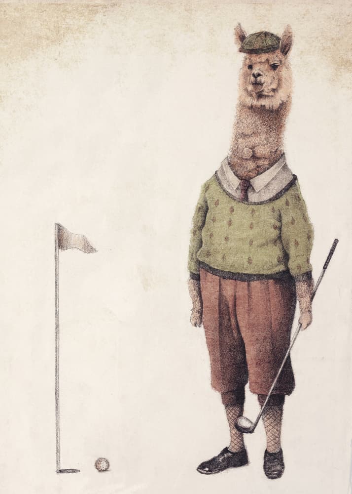 Alpaca Golf Club by Mike Koubou — canvas wall art