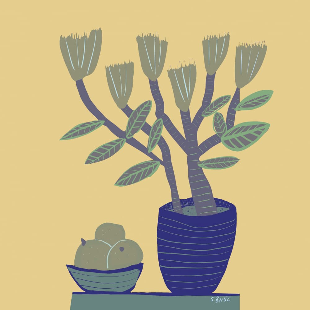 Modern Botanical Still Life by Sharyn Bursic — canvas wall art