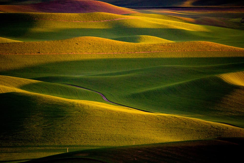 Sunlit Rolling Fields by April Xie — canvas wall art