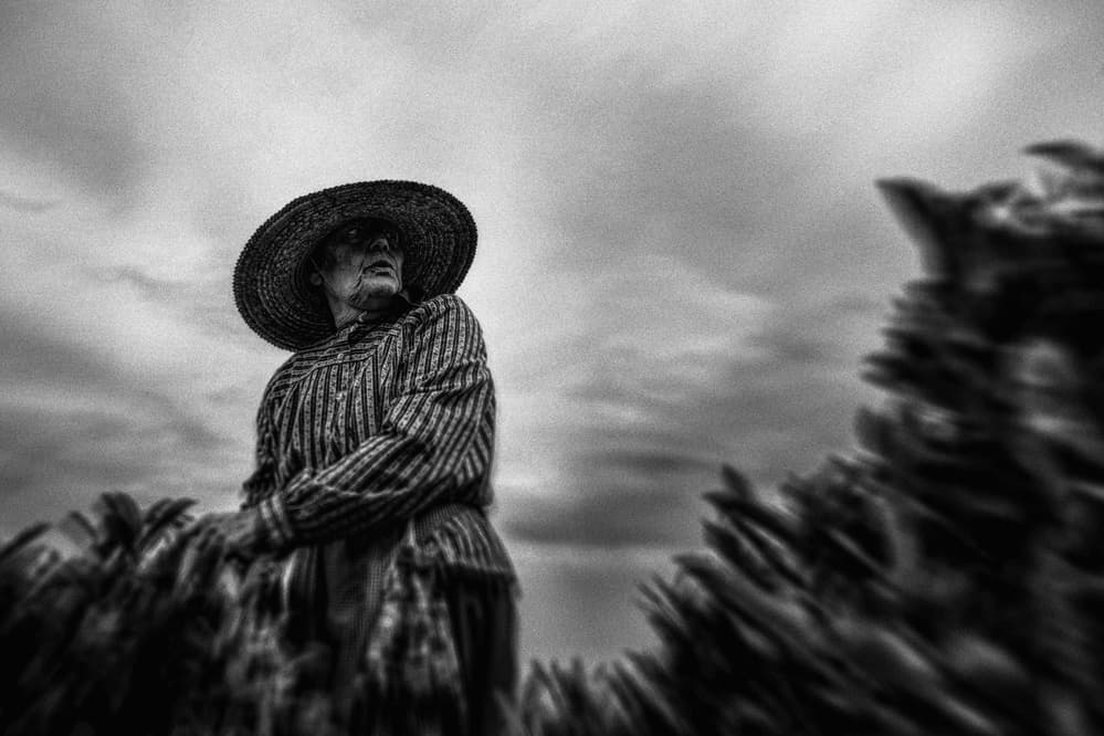 Straw Hat Farm Woman by Paulo Medeiros — canvas wall art