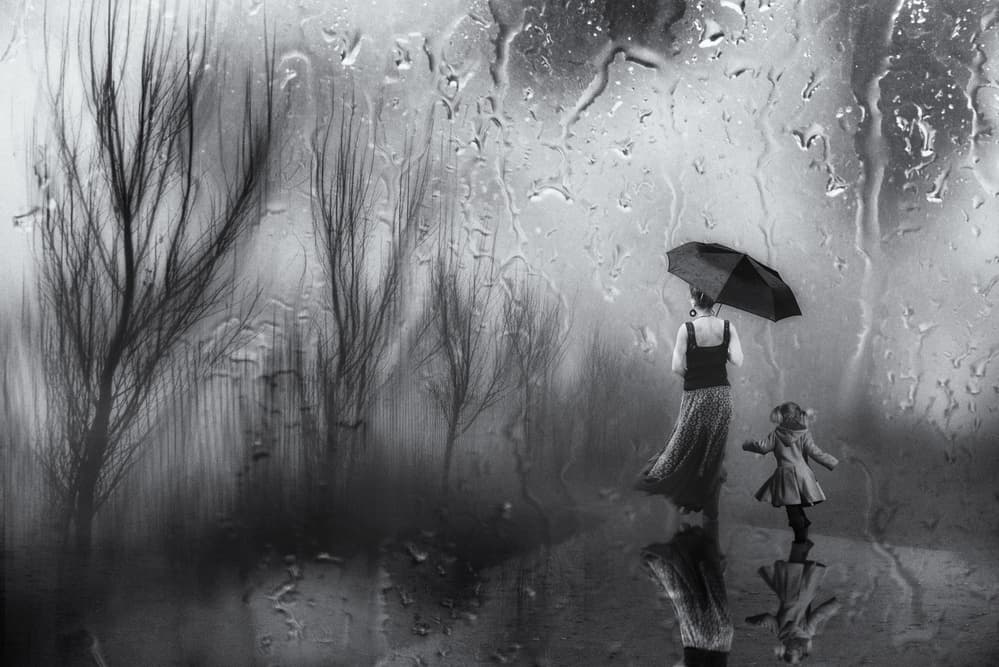 Rainy Forest Walk by Charlaine Gerber — canvas wall art