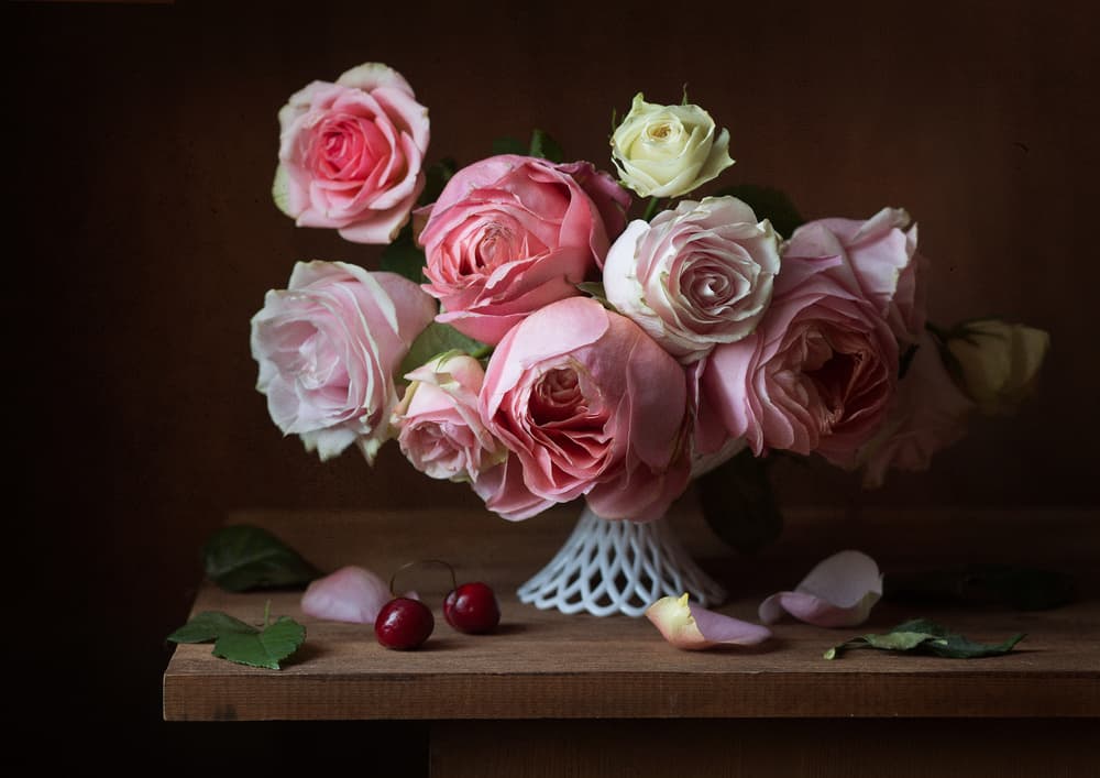 Blush Roses and Cherries by Alina Lankina — canvas wall art