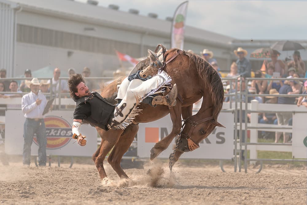 Wild Rodeo Ride by Henry Zhao — canvas wall art